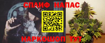 ECSTASY Новодвинск