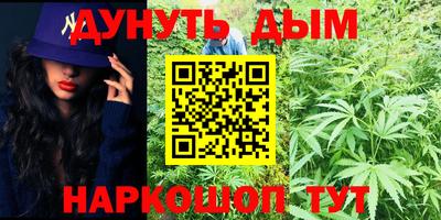 ECSTASY Новодвинск